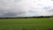 dsc04191.jpg