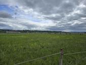 img-20240505-wa0021.jpg