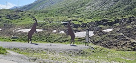 20240710-094705.jpg