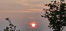 20240817-203256.jpg
