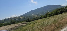 1000557139.jpg